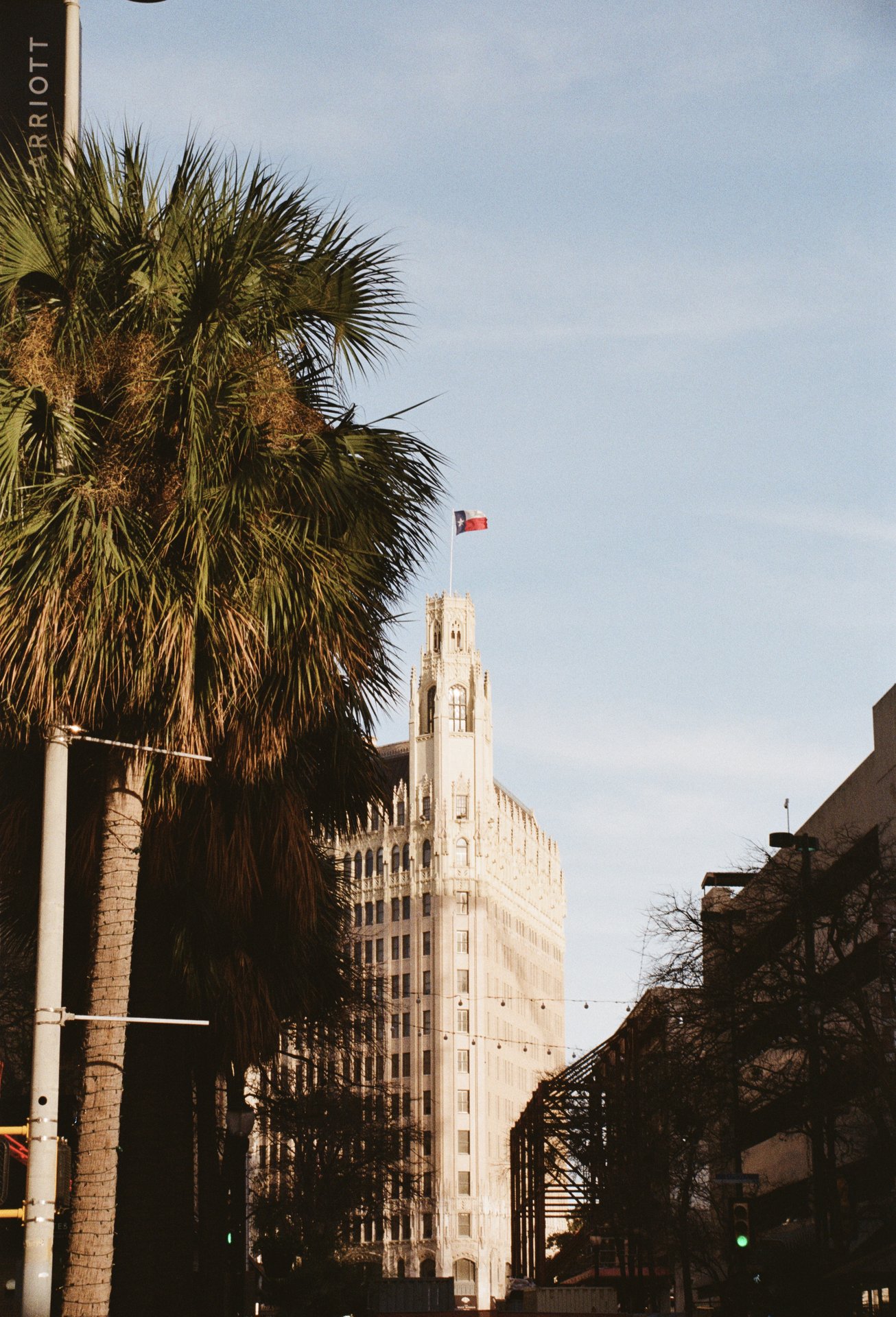 San Antonio Building Palm